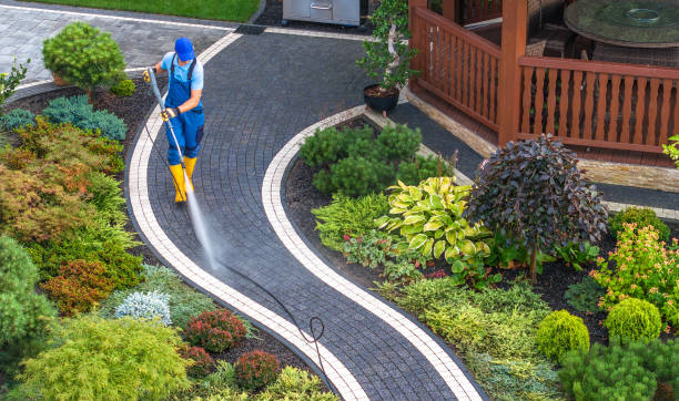 Best Roof Pressure Washing  in Townsend, MT